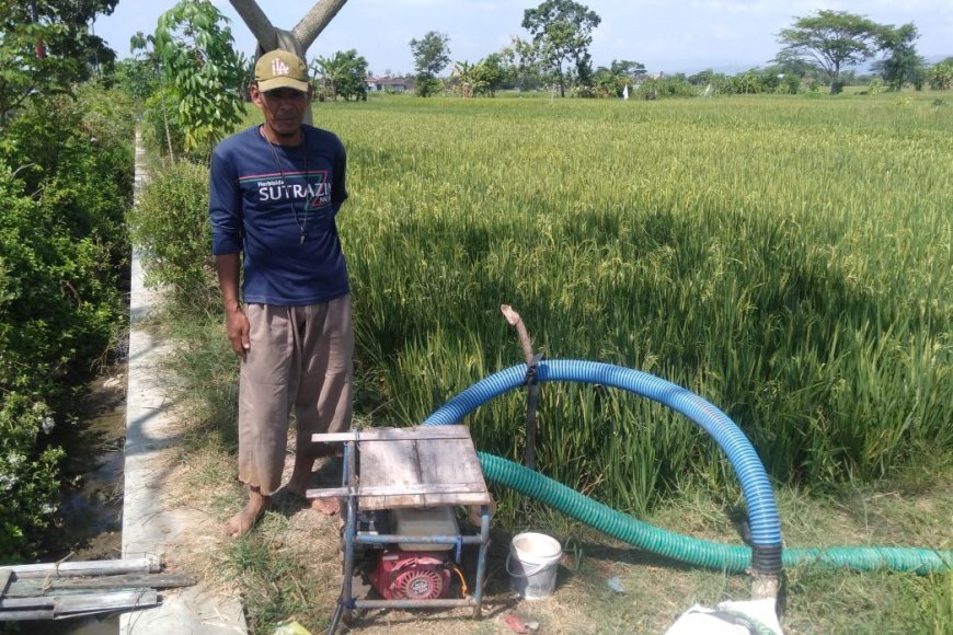 Pengaruh Penerapan SIPA terhadap Petani dan UMKM